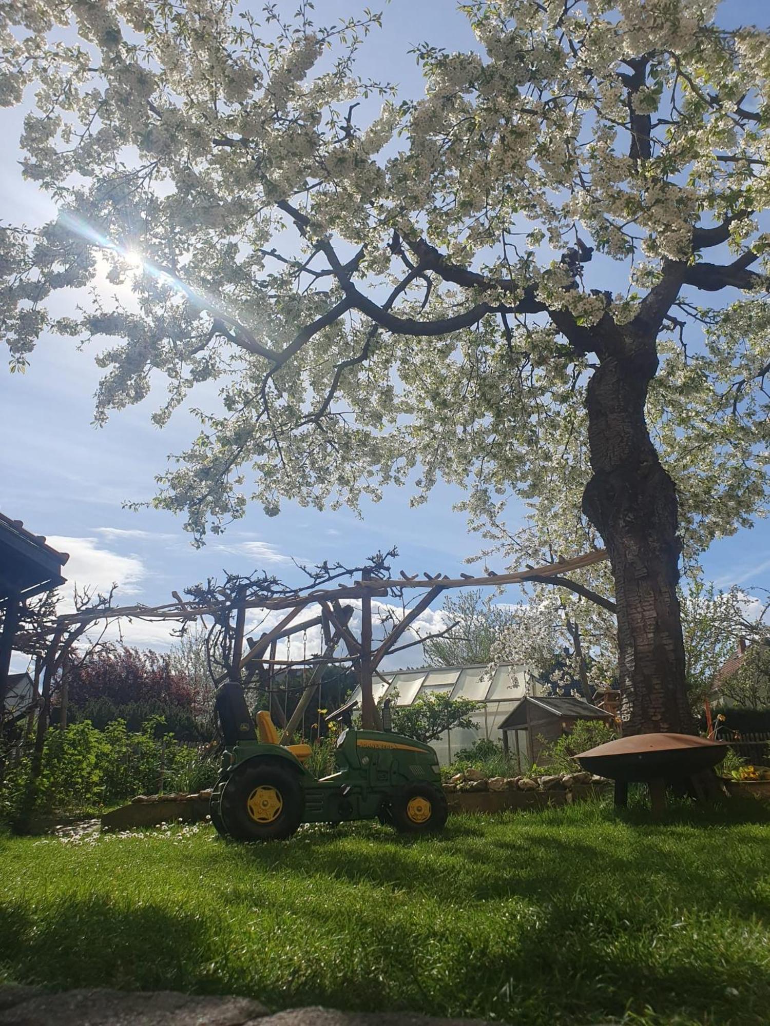 Ferienwohnung Cumbach 루돌슈타트 외부 사진